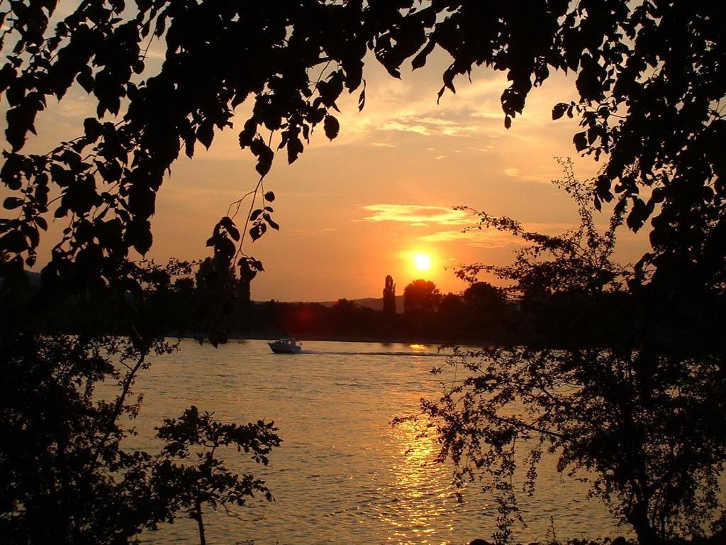 Zur Rheinschanz Bad Honningen Buitenkant foto